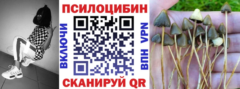 Галлюциногенные грибы Psilocybine cubensis купить Динская